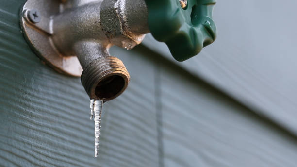 Best Clogged Drain Plumber  in Mcmurray, PA