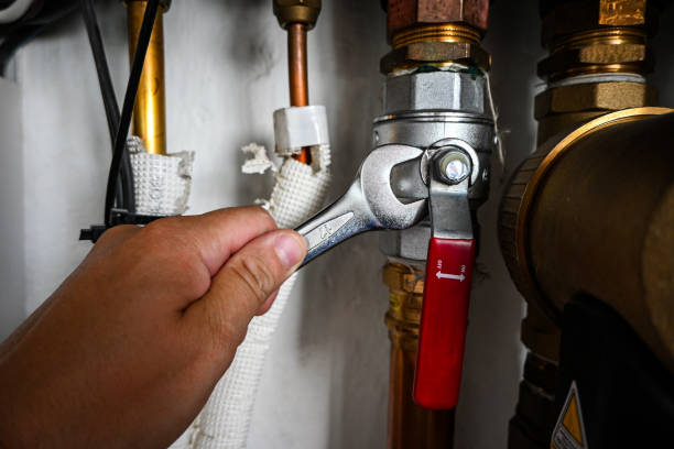 Best Plumbing Inspection Services  in Mcmurray, PA